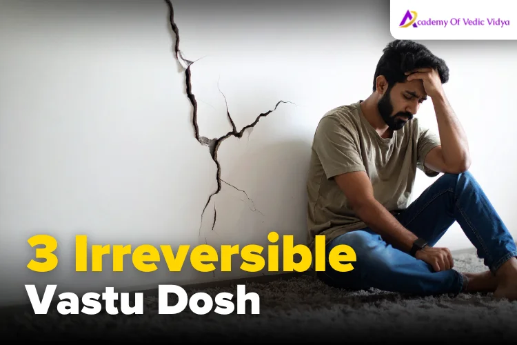 3-Irreversible-Vastu-Dosh