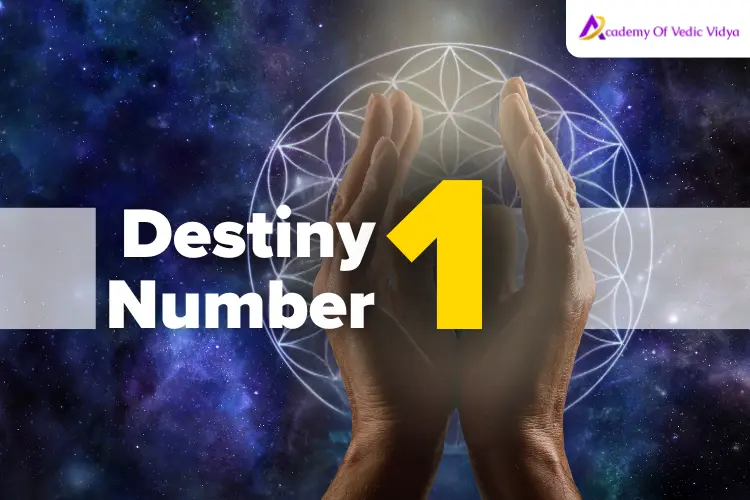 Destiny-number-1