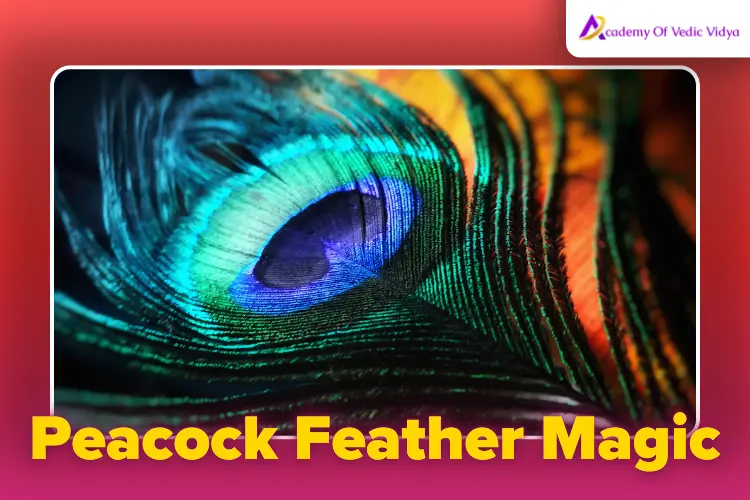 Peacock-Feather-Magic